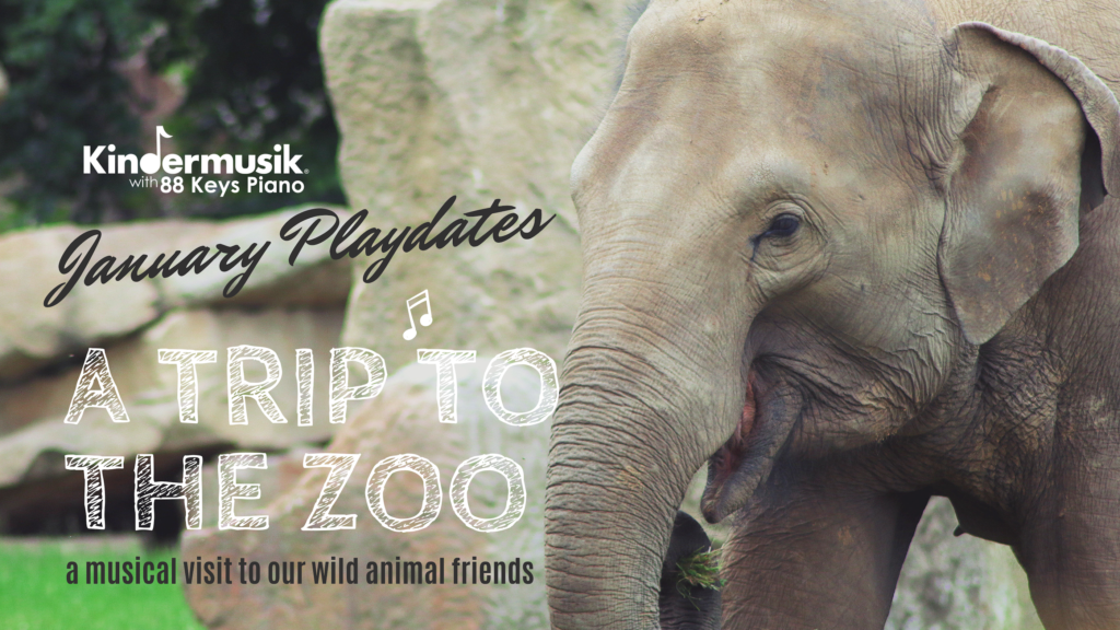 January Playdates: A Trip to the Zoo